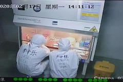 河南省疾控中心成功分离新型冠状病毒毒株