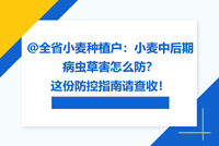 @全省小麦种植户：小麦中后期病虫草害怎么防？  这份防控指南请查收！