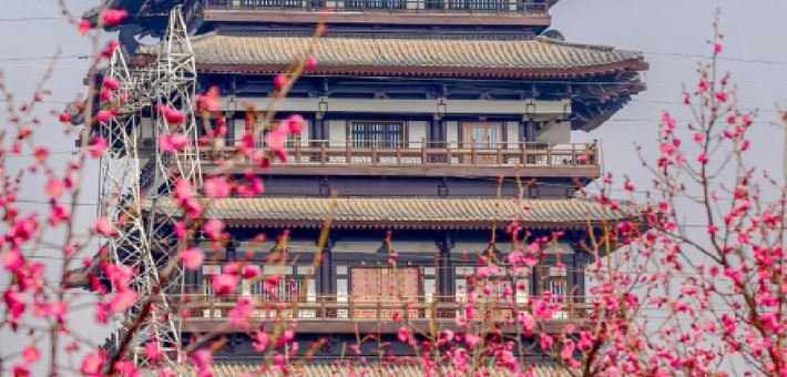 请查收河南赏梅好去处