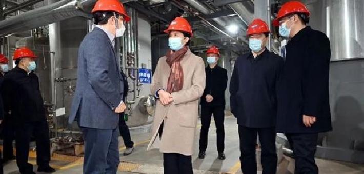 梁惠玲到绥化市调研