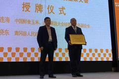 “中国玉米之乡”青冈：打造发布国内首个鲜食玉米区域公用品牌