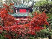 湖南景点推荐大全