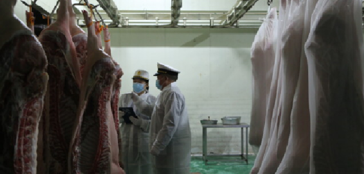 湖南冰鲜猪肉出口新加坡