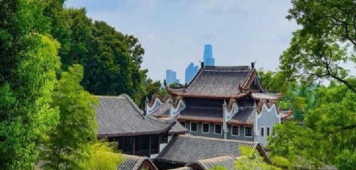 跟着中国女篮游长沙