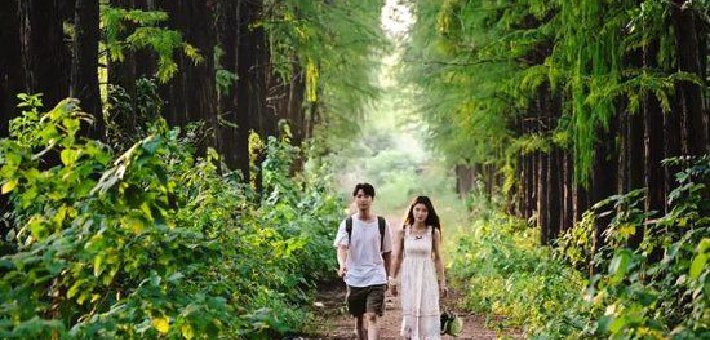 湖南的春天别只盯着花