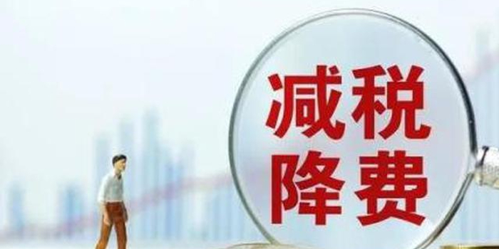 娄底市税务局突出党建引领促进减税降费落实落