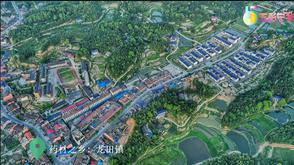 药材之乡龙田镇