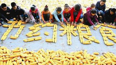 中国食物浪费每年1700万至1800万吨