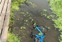 共享单车被“虐待” 这次被扔进了琵琶湖