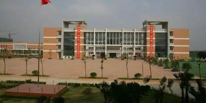 南外小升初摇号命中率达80% 7月1日进行面测