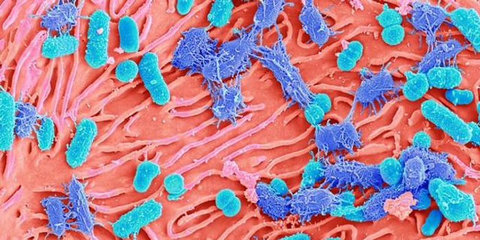 玄武口腔病防治所调查发现:八成6龄童有蛀牙