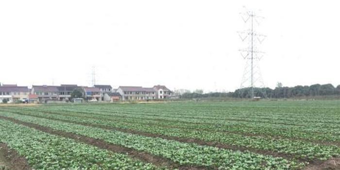 江苏省委一号文件:农民收入5年增万元潜力在哪