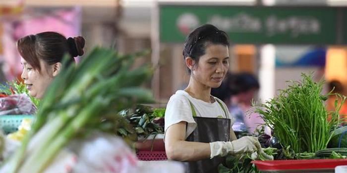 受台风雨水影响 江苏各地蔬菜价格均较快上涨