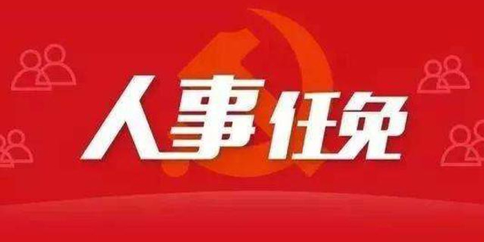 市管干部任职前公示 石磊拟推荐玄武副区长人