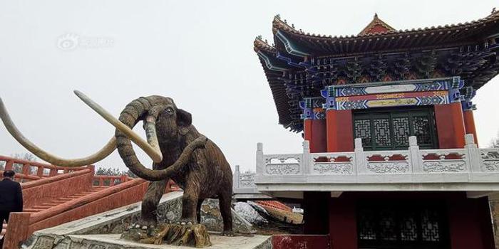 惊动省委后 牡丹江"曹园"法人抹泪辩解