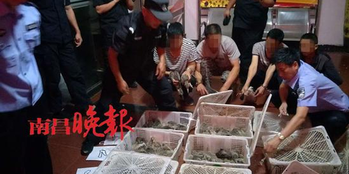 南昌县交警查酒驾:打开一辆面包车一看 都震惊