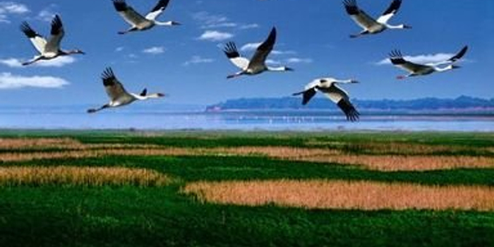 空气质量优良率83.9% 江西生态环境质量居全