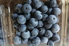遼寧相冊——遼寧土特產 丹東長山藍莓：“小不點”有大營養
