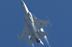 枭龙秀旱地拔葱