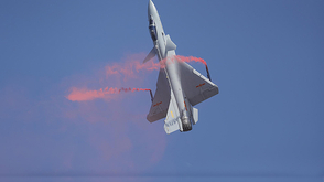 J10B秀眼镜蛇落叶飘