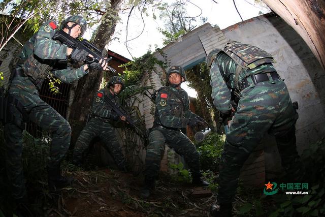 边防缉毒第一线!云南武警苦练实战本领场面如大片