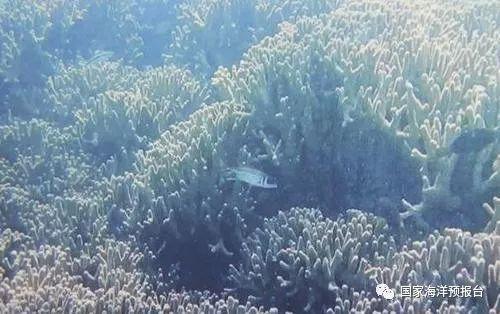 科学考察船在蓝洞洞口进行研究考察。