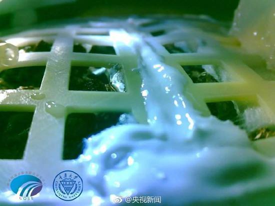 央视新闻1月15日报道,“嫦娥四号”携带的棉花种子已长出发芽