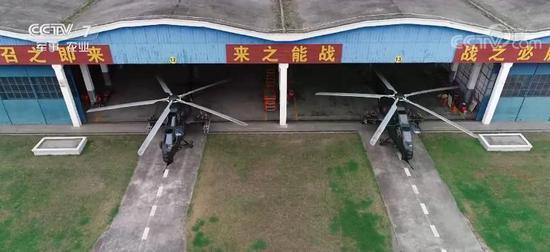 文内图片均来自央视网新闻