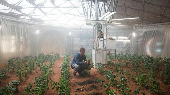 电影《火星救援》截图