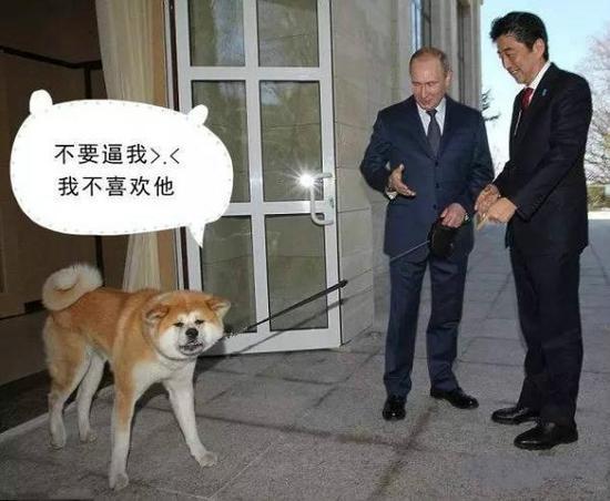 然后是在普京生日的时候,早早的就摸清普京喜欢钓鱼的喜好,在生日前一天差人送上了一套上好的钓鱼用具。
