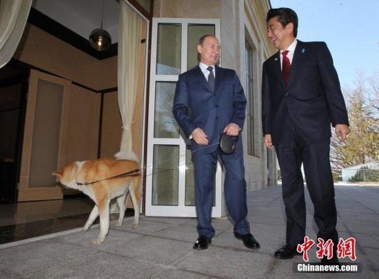 资料图:当地时间2014年2月8日,普京会晤到访的日本首相安倍晋三。
