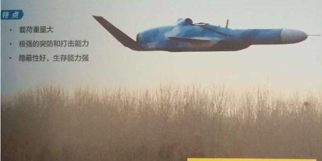 美媒配发的中国网上流传的掠海巡航导弹图像
