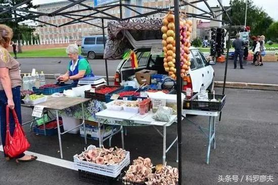 土豆、洋葱和蘑菇是这里居民日常消耗最大的食品。