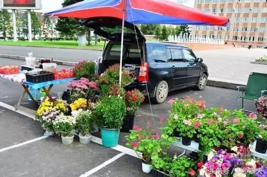 乌苏里斯克一年四季温差很大,鲜花品种也比其他地方要多。