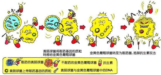 那么面对超级细菌我们该怎么办?