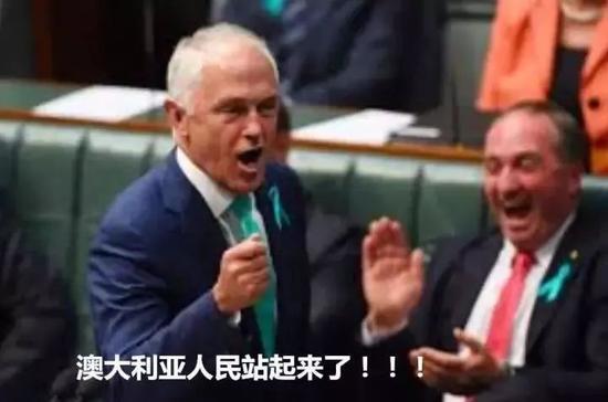 这个250总理,完全是个疯子!说话疯言疯语不着四六!他的言下之意,难道是澳大利亚人民一直跪着,还是中国人给弄跪的?
