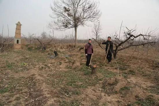 王琪住过的院子,现今已经变成田地。老槐树被冲毁的地方,建起了一座“树塔”,逢年过节,会有村人前来祭拜,祈祷风调雨顺。 韩逸摄影