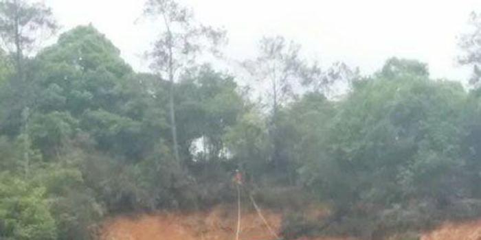 漳平有多少人口_漳平水仙茶