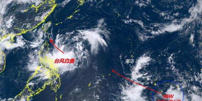 台风白鹿逼近浙江 省防指启动防台风Ⅳ级应急响应