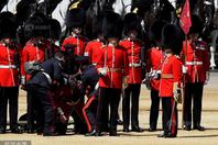 英国皇家骑兵卫队举行阅兵彩排 多人在烈日下晕倒