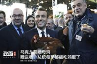 新浪图片《政面》27期：马克龙获赠母鸡 赠者只为总统每早吃鸡蛋
