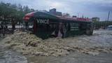巴基斯坦季風(fēng)暴雨已致706人死亡