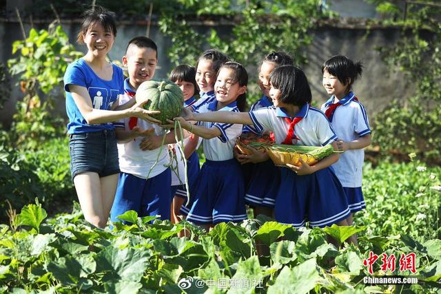 孩子们体验田园劳动 江西一小学建"开心农场"