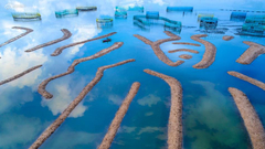 《画里行舟》摄影：@林祖贤3677