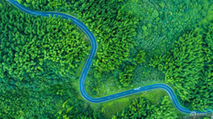 《“一带一路”》摄影：@YC文武双全