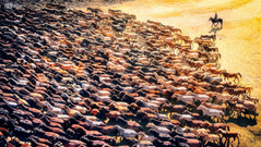 《转场》摄影：@宇帆影迹