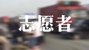 志愿者：我们为何要拦车救狗