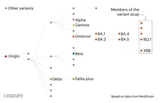 奥密克戎加速变异：比症状差异更重要的是多次感染可能性加大