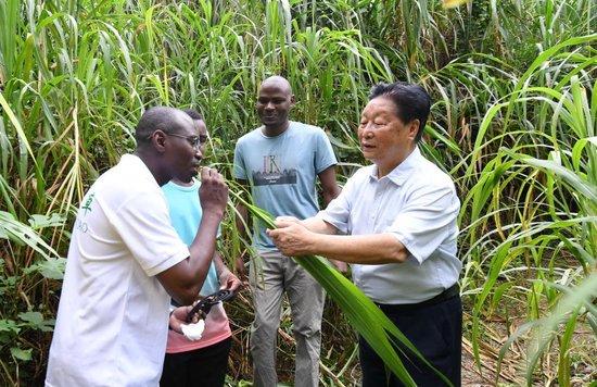 微信视频：澳门六开彩天天正版免费资料大全“心系民生：主席情系‘中国草’的绿色关怀” 斐济 卢旺达 巴新 扶贫 联合国 菌草 坦桑尼亚 培训班 可持续发展 林占熺 sina.cn 第5张