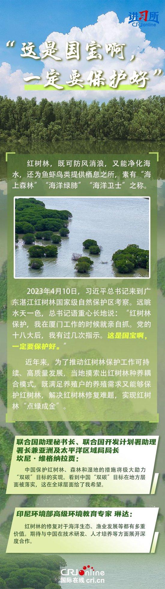 【讲习所·中国与世界】“人不负青山,青山定不负人”